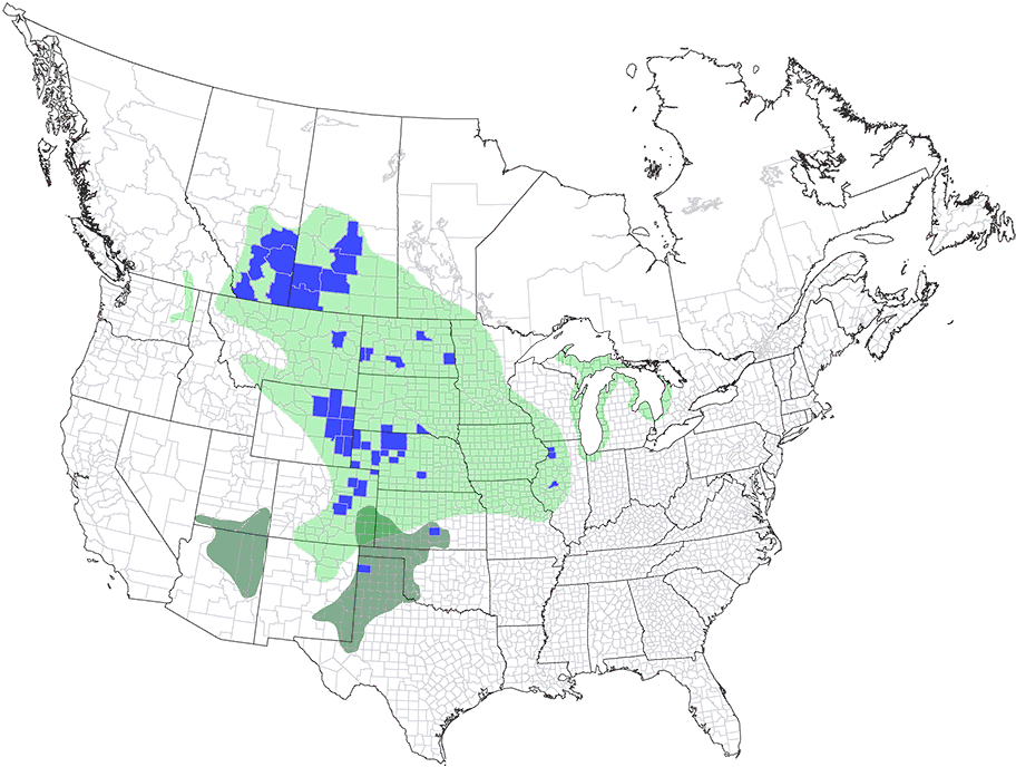 range map of the cicadellid Flexamia grammica with ranges of host plants